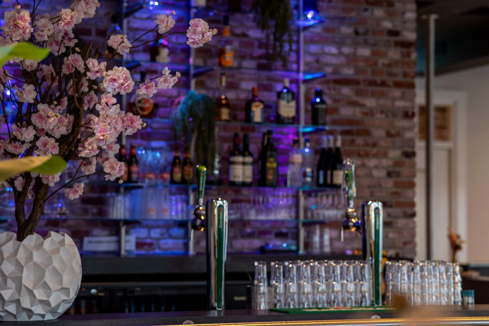 Sfeervol verlichte bar met drankenwand en bakstenen muur in D' Olde Skoele Rouveen